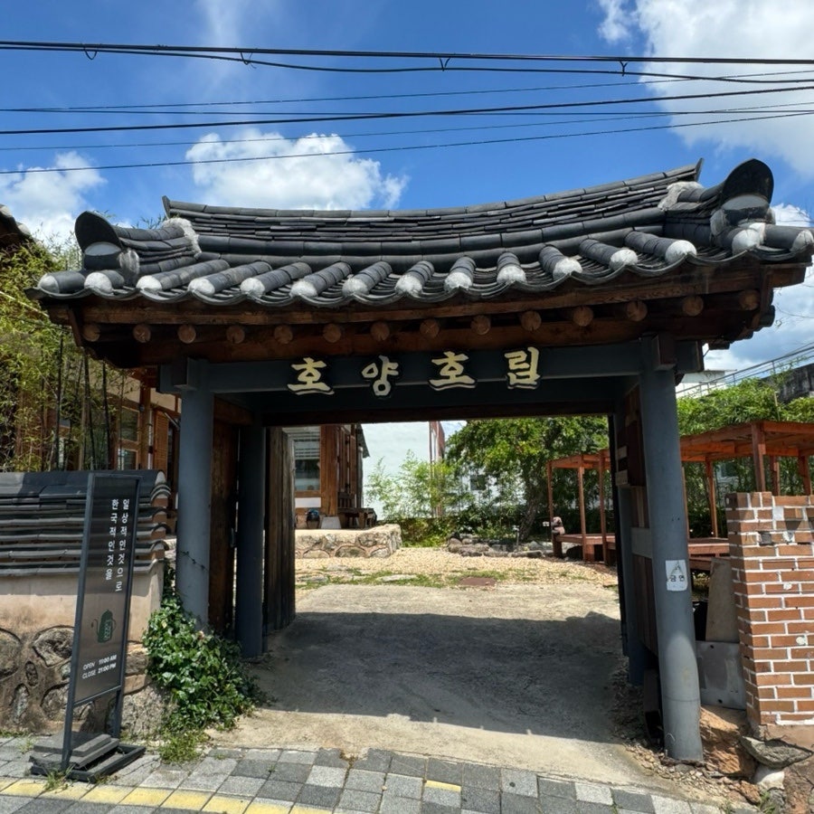호림 사진 1