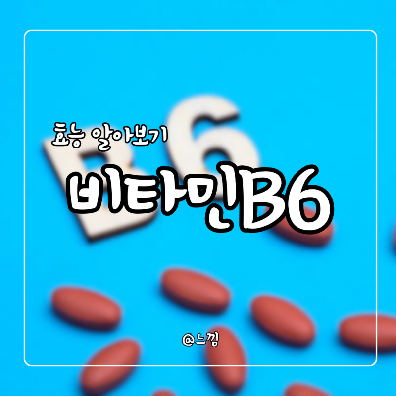비타민B6 효능 및 부작용 권장량 비타민b6 과다 부족