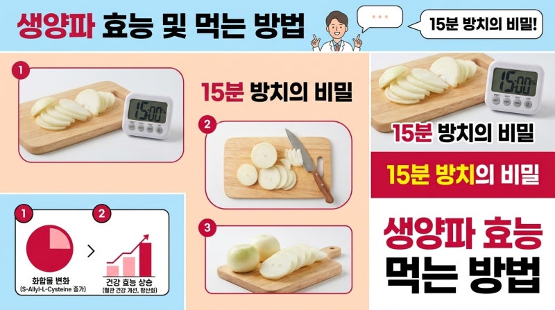 생양파 효능 먹는 방법, 의외의 섭취 타이밍은 따로 있었다