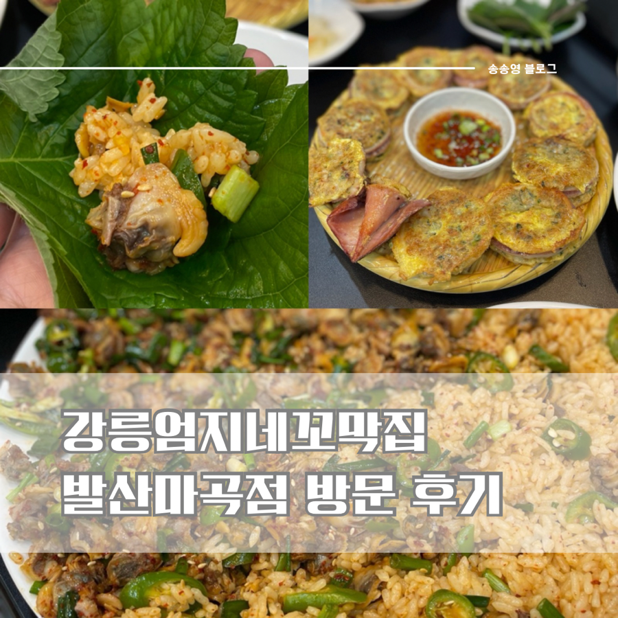 강릉엄지네꼬막집 발산마곡점 사진 1