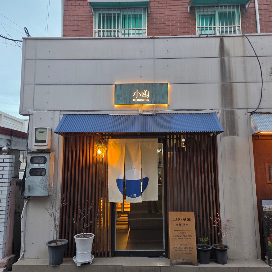 코카모메 사진 1