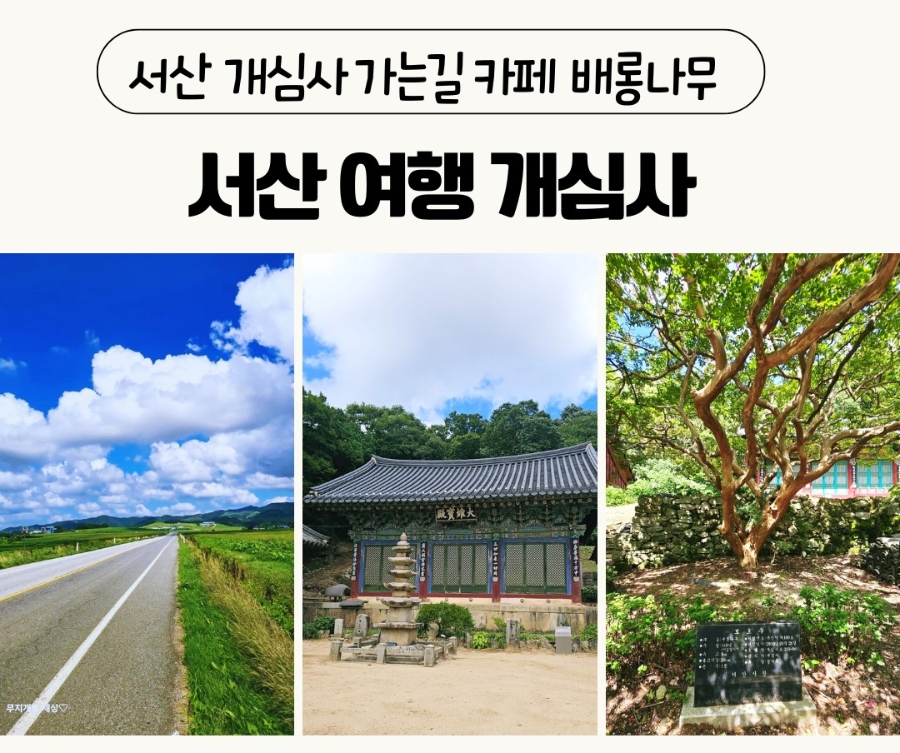 코지그레이 사진 1