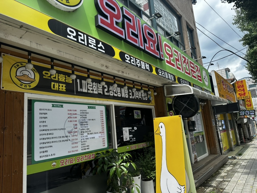 오리요 사진 5