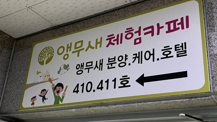 앵무새카페 리프패럿 계양점 사진 3