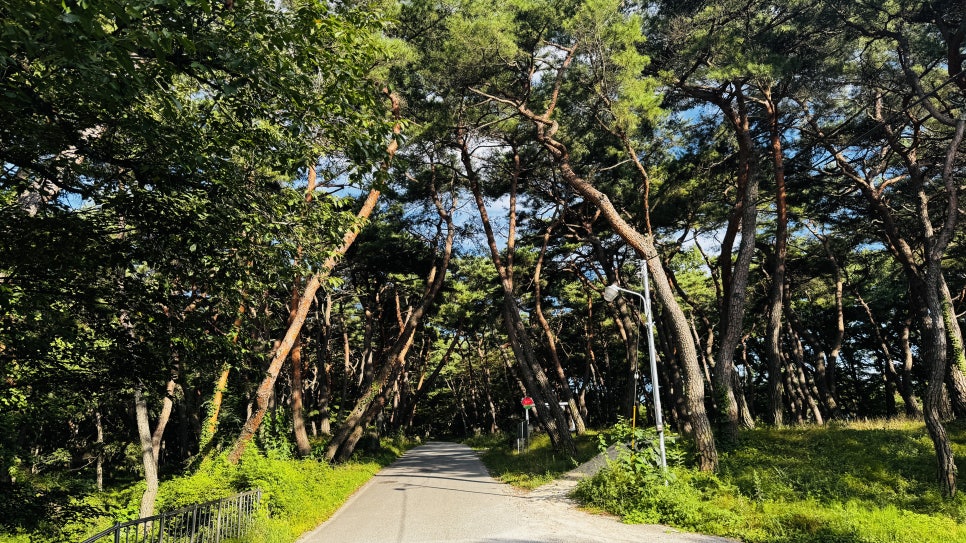 동호숲 사진 1