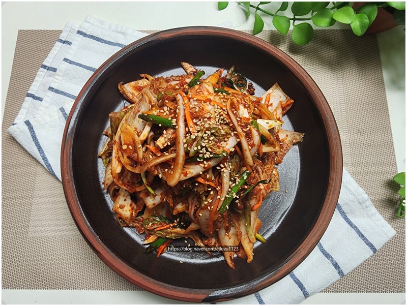 여름 배추김치 담그는 법 배추 한 포기로 만드는 막김치 레시피