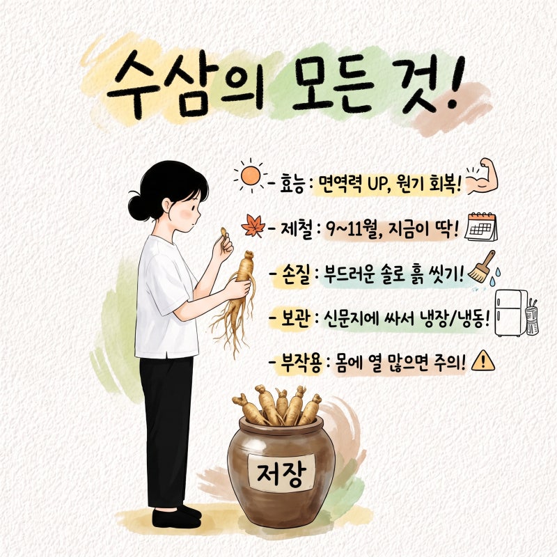 수삼 효능 제철 손질 세척 보관 냉동 부작용 삼계탕 인삼홍삼차이