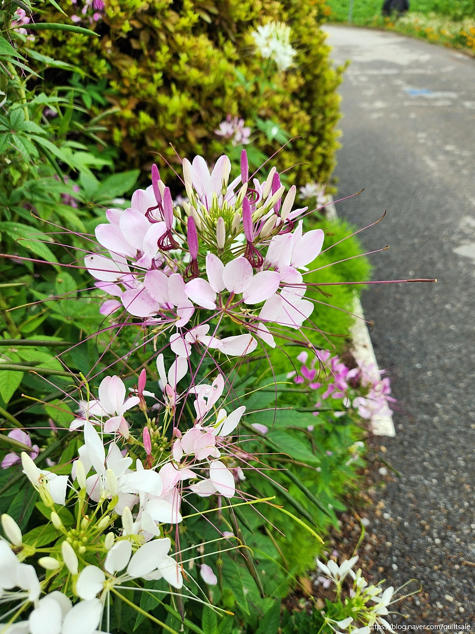 태화산 사진 4