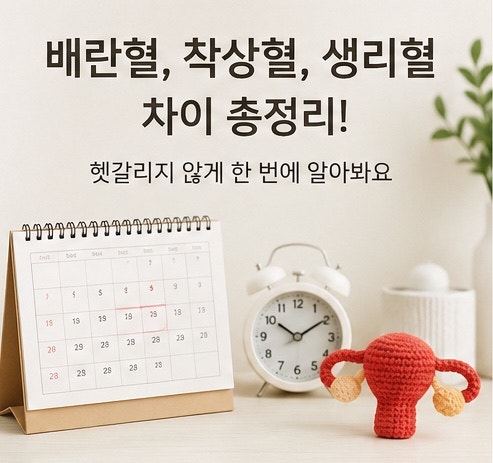 배란혈 착상혈 생리혈 차이 특징 및 구분법
