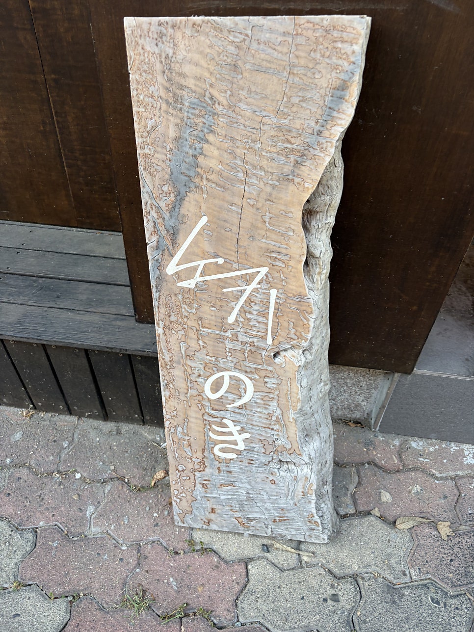 노키 사진 3