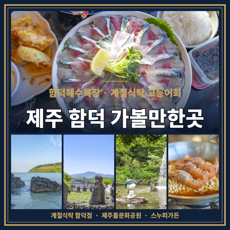 함덕 가볼만한곳 함덕해수욕장 제주 횟집 고등어회