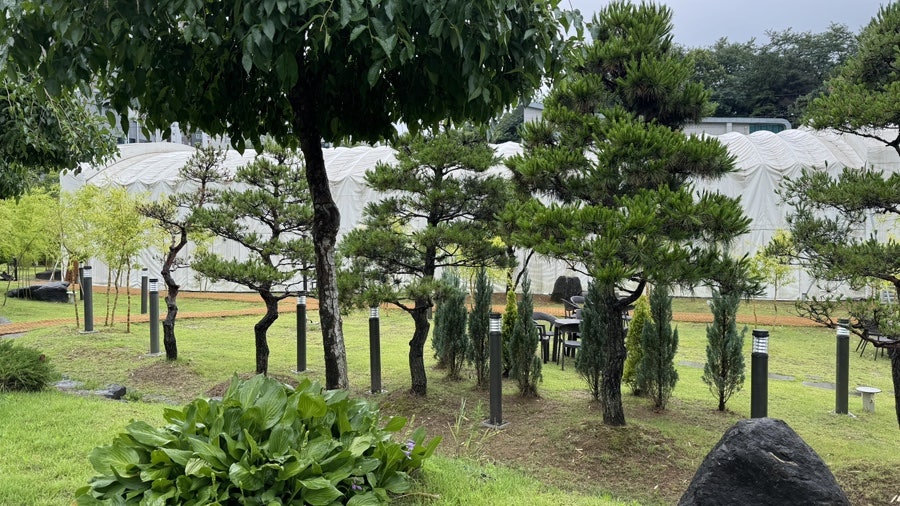 하늘만큼 사진 2