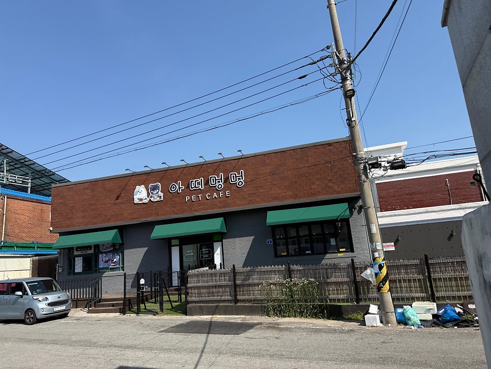 아띠멍멍 사진 2