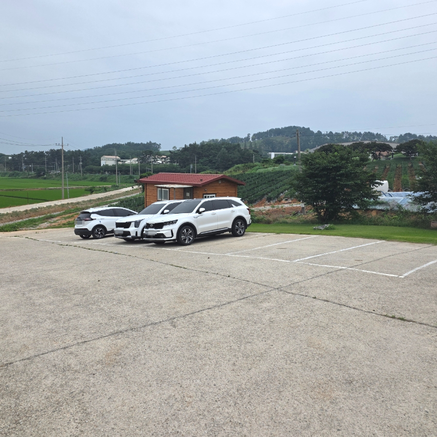 네모 사진 1