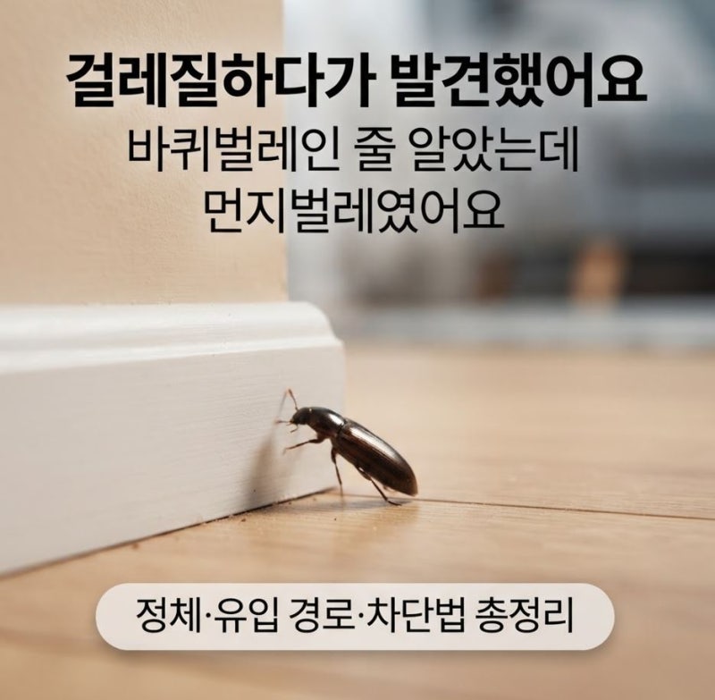 먼지벌레 기습 출몰;; 퇴치 하는 데 애먹었어요;;
