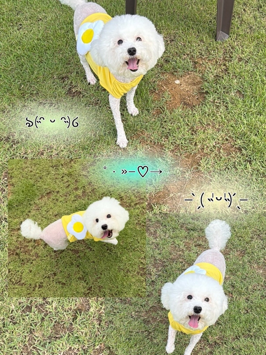 호두네놀이터 사진 1