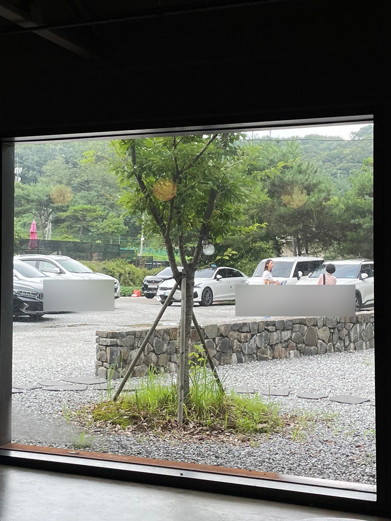 비다 사진 2