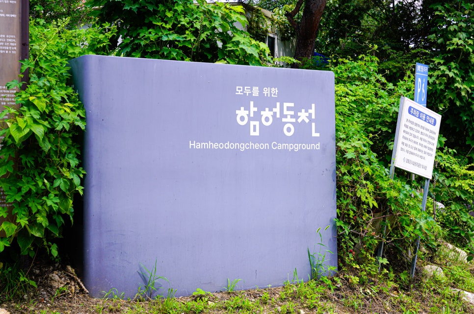 강화도 청소년 수련원 캠핑장 사진 5