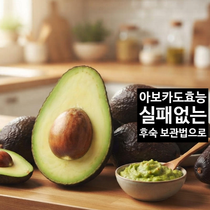 아보카도효능 후숙·보관법 체크부터!