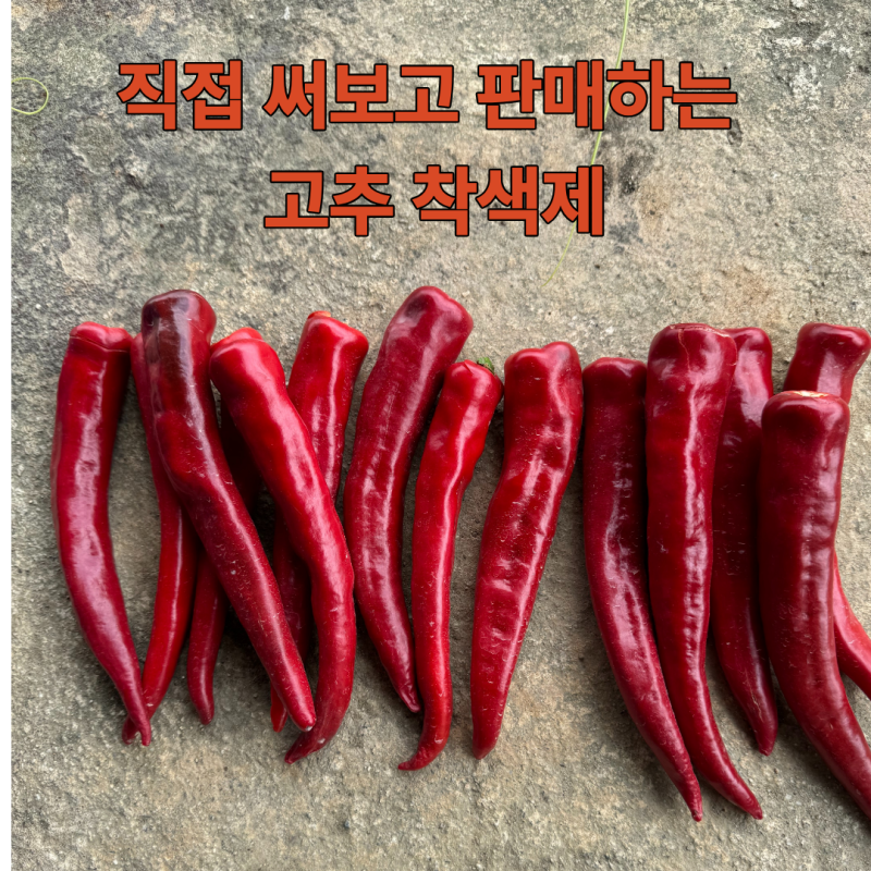 고추는 다컸는데 왜 안빨개 질까요? 분무기한통 "천원"으로 고추를 크고 빨갛게 홍고추