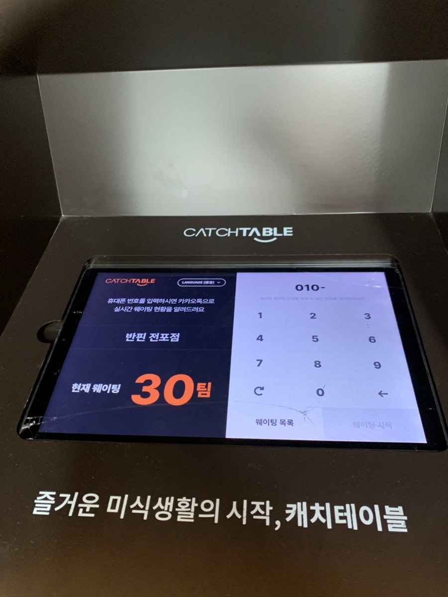 반핀 사진 4
