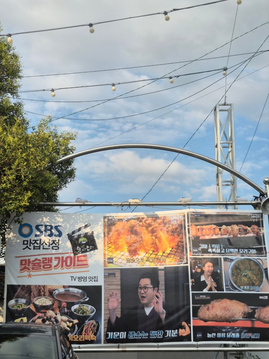 숲과오리 사진 2