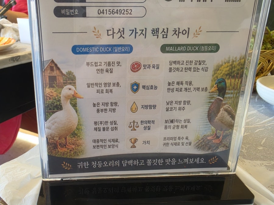 오리마루 사진 6