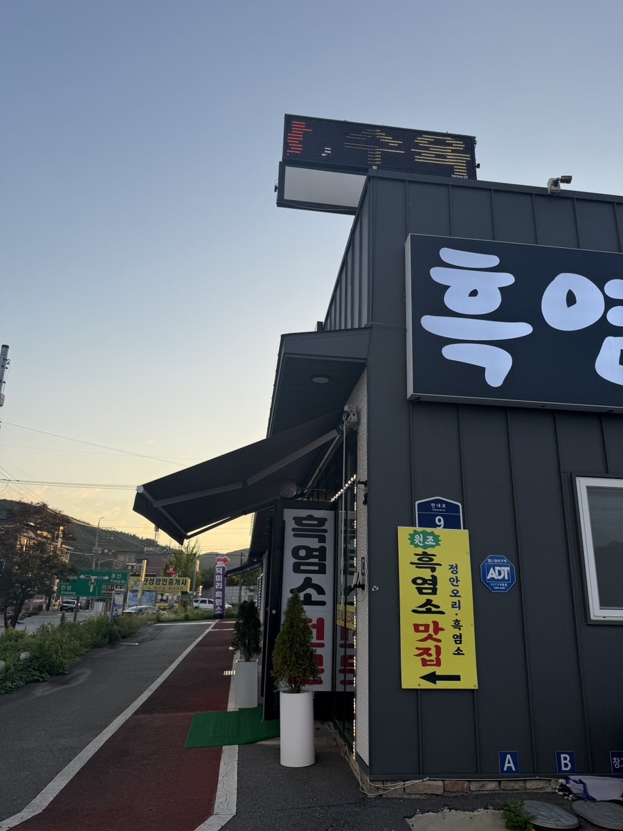 정안오리 사진 4