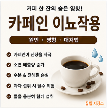 카페인 신장 이뇨작용 원리, 카페인 하루 섭취 적정량