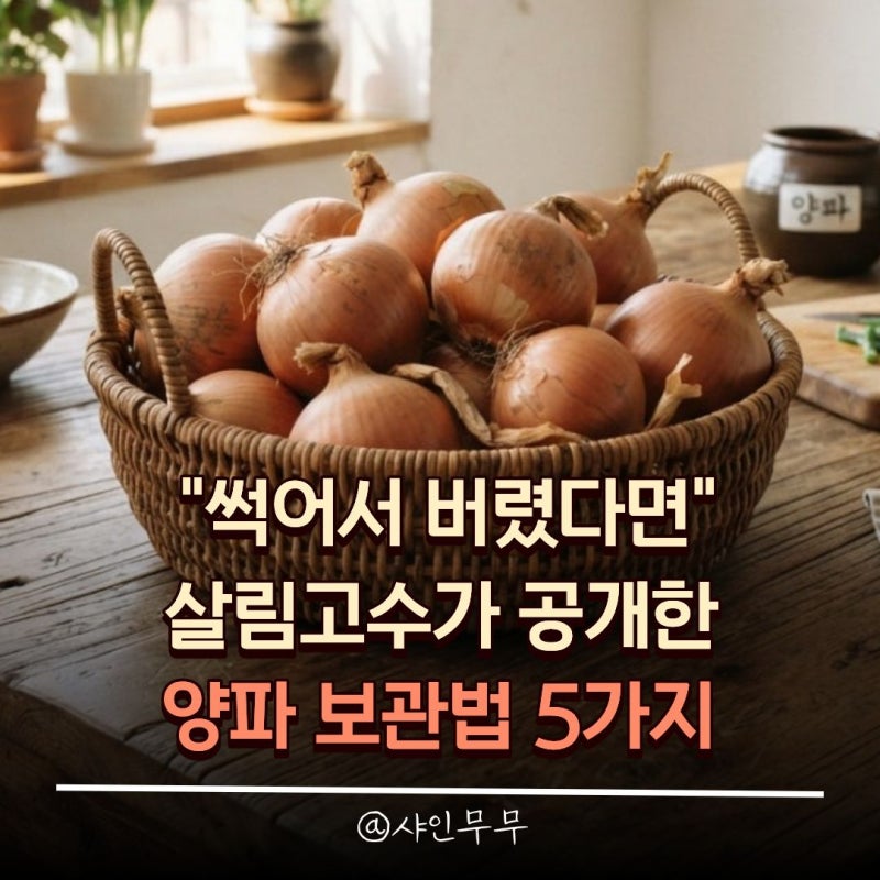 "썩어서 버렸다면" 살림 고수가 공개한 양파 보관방법 및 깐 양파 보관법 5가지