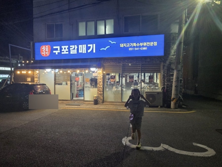구포갈매기 사진 6