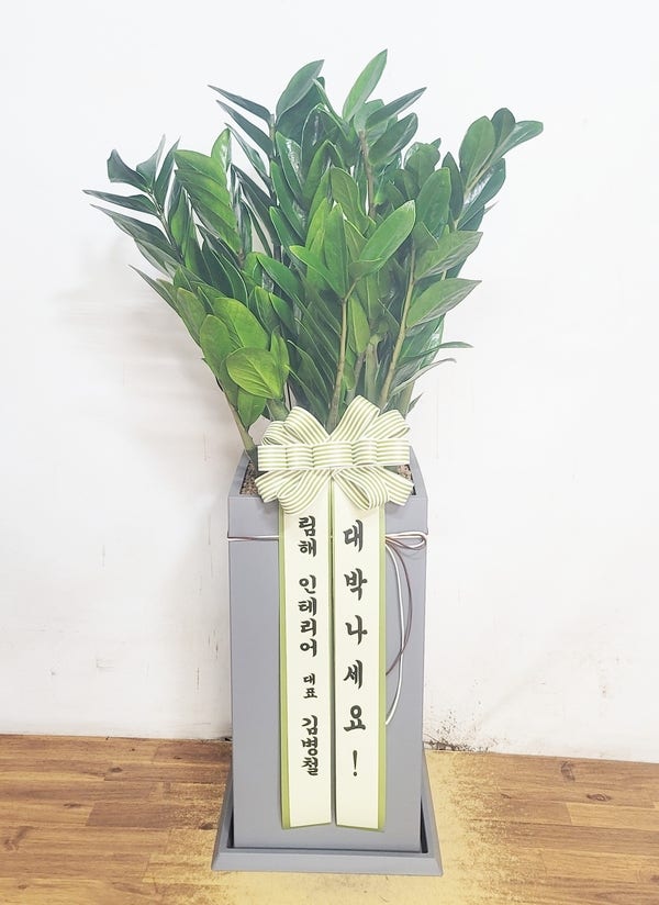 꽃피는산골 사진 2