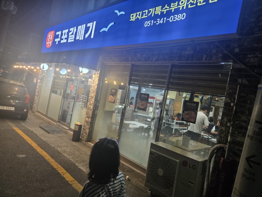 구포갈매기 사진 5
