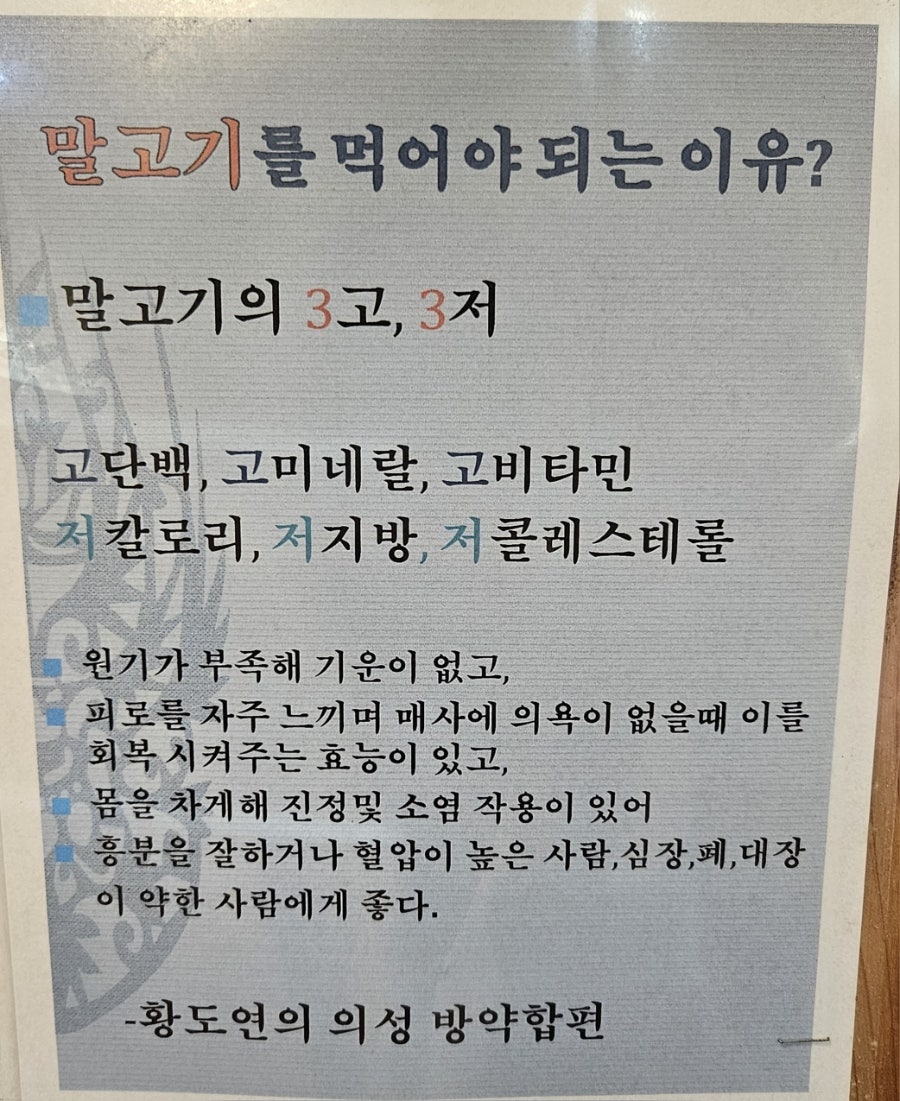 고우니 제주를담다 사진 4