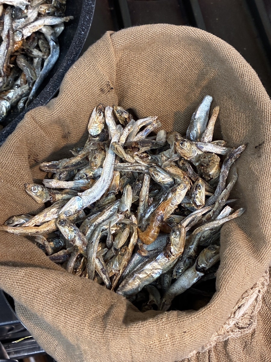 제비국시 사진 3
