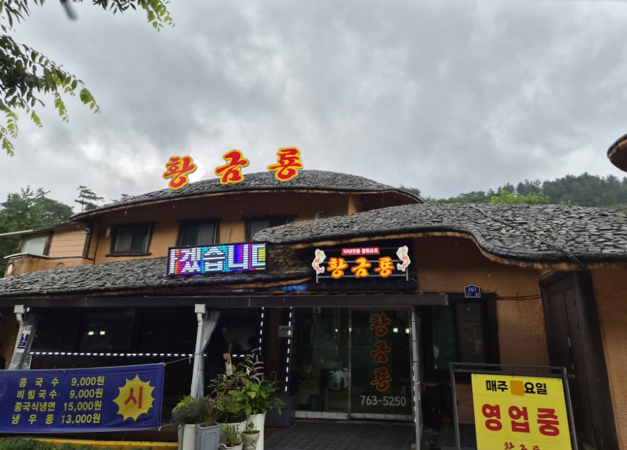 황금룡 사진 2