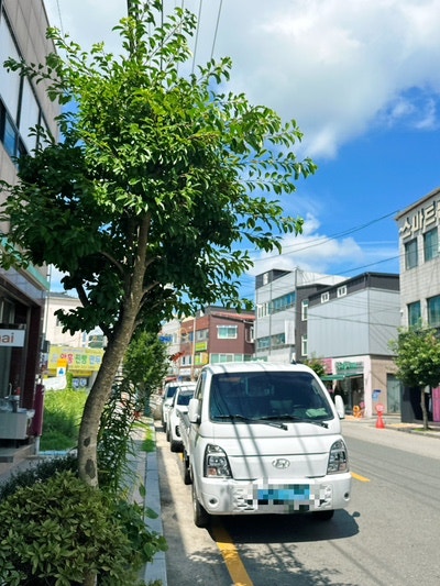 함평돈까스 사진 3