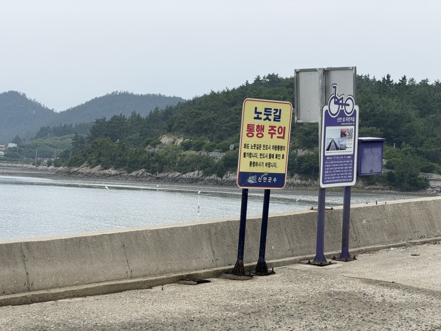 화도 사진 5