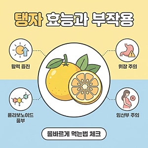 탱자 효능과 부작용, 올바르게 먹는법 총정리