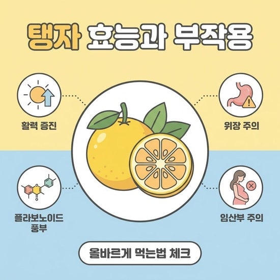 탱자 효능과 부작용, 올바르게 먹는법 총정리
