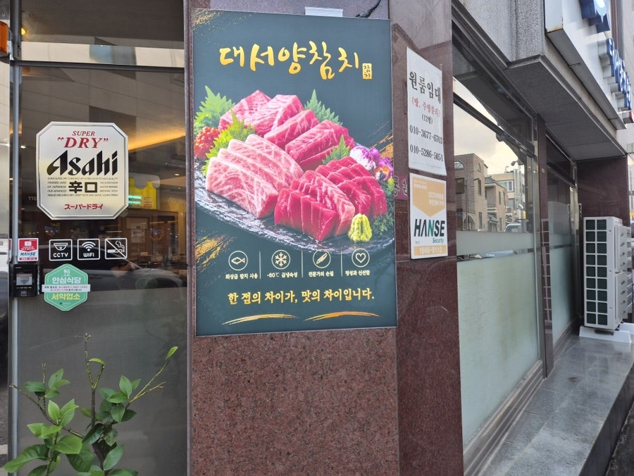 대서양참치 사진 3