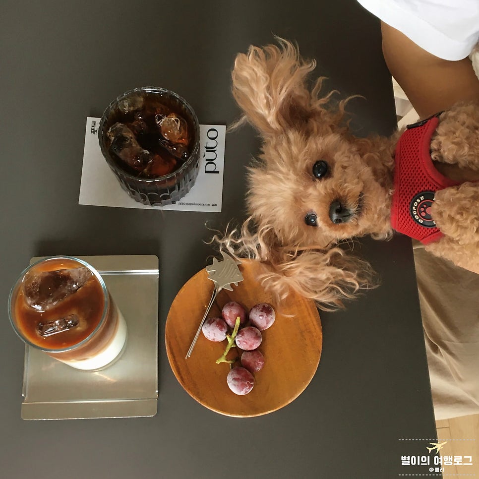 풋토 사진 1