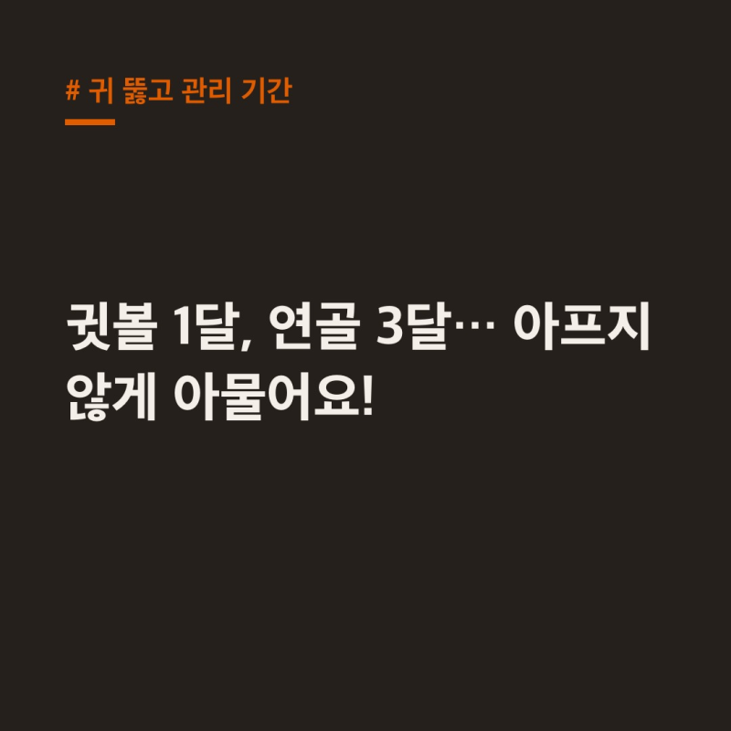 귀 뚫고 관리 기간, 귓볼 1달·연골 3달 회복법