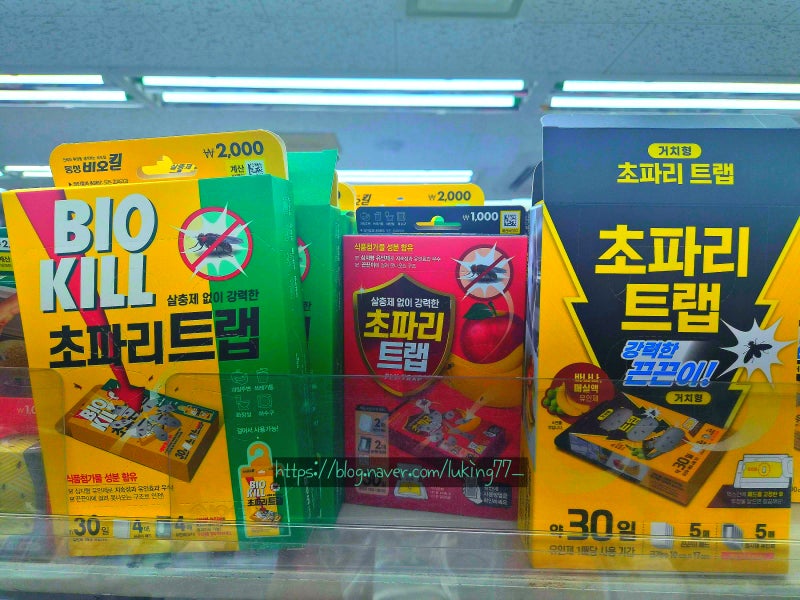 "다이소 초파리 트랩 이거다!" 드디어 진짜를 박멸템을 찾았다!