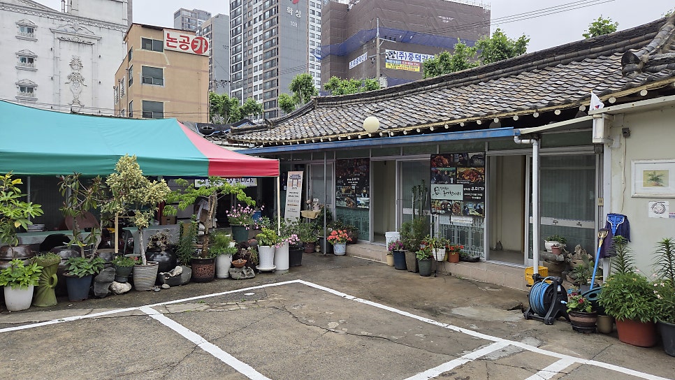 우미가 사진 1
