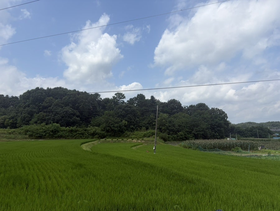 스타릿비치 사진 1