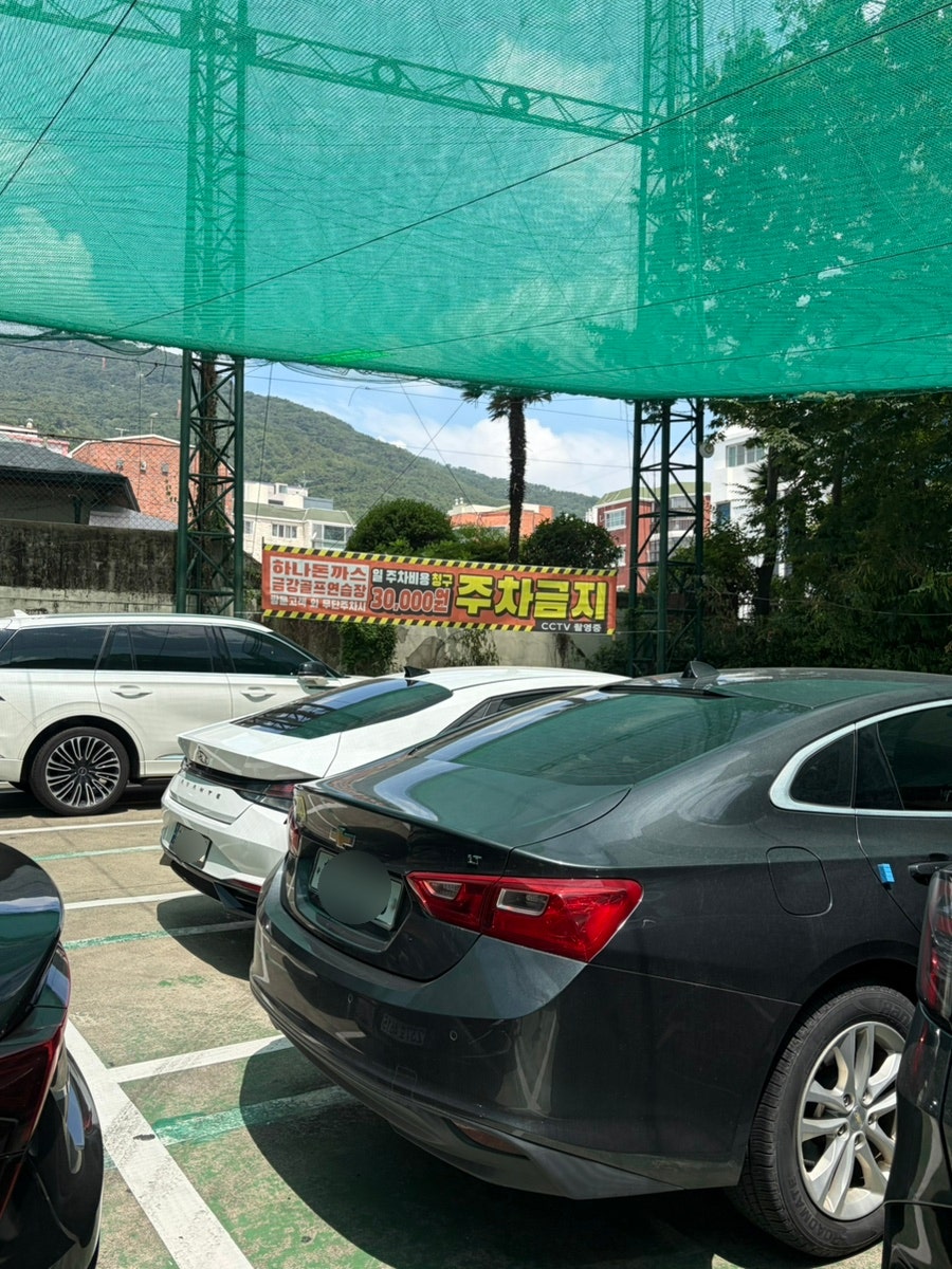 하나돈까스 온천점 사진 2