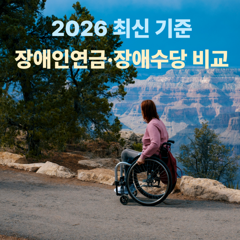 장애인연금과 장애수당 차이, 헷갈리면 못 받습니다