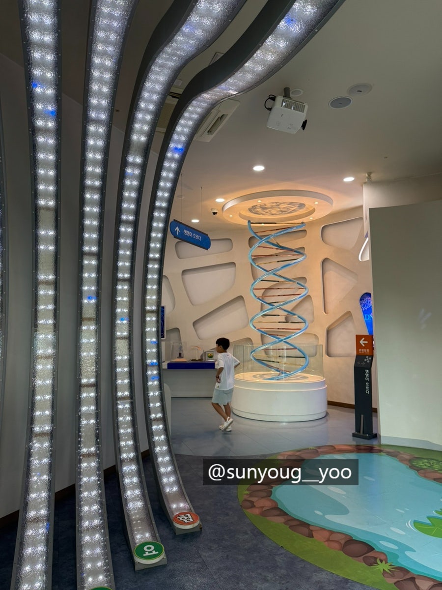 홍천생명건강과학관 사진 2
