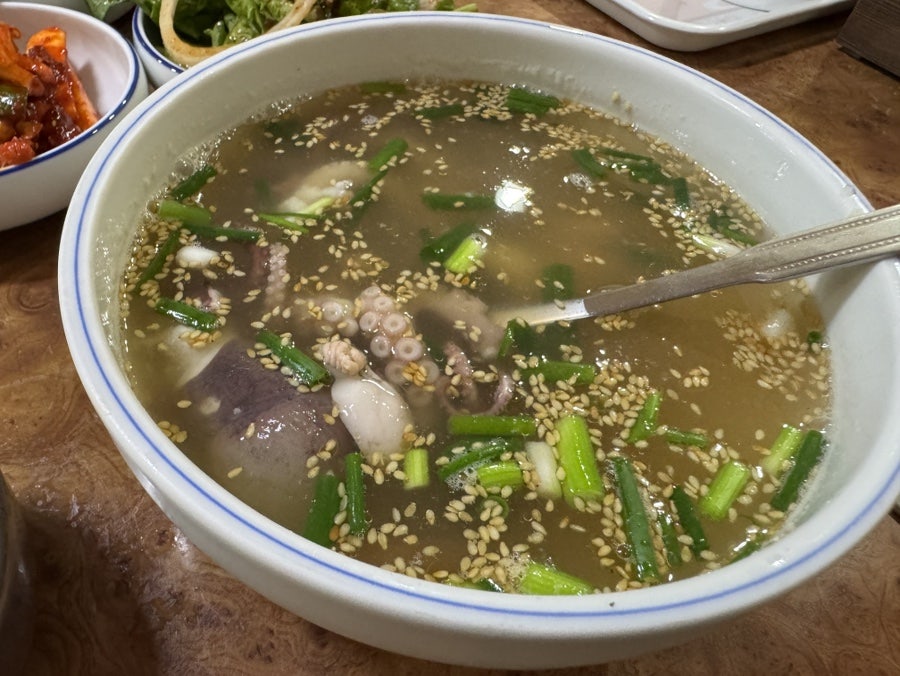 해송 사진 6